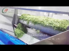 كيف ينتج خط إنتاج الفاصوليا المعلبة الفاصوليا المعلبة؟