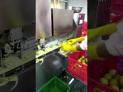 خط إنتاج الفاكهة المعلبة في Leadworld خط معالجة البير المعلبة